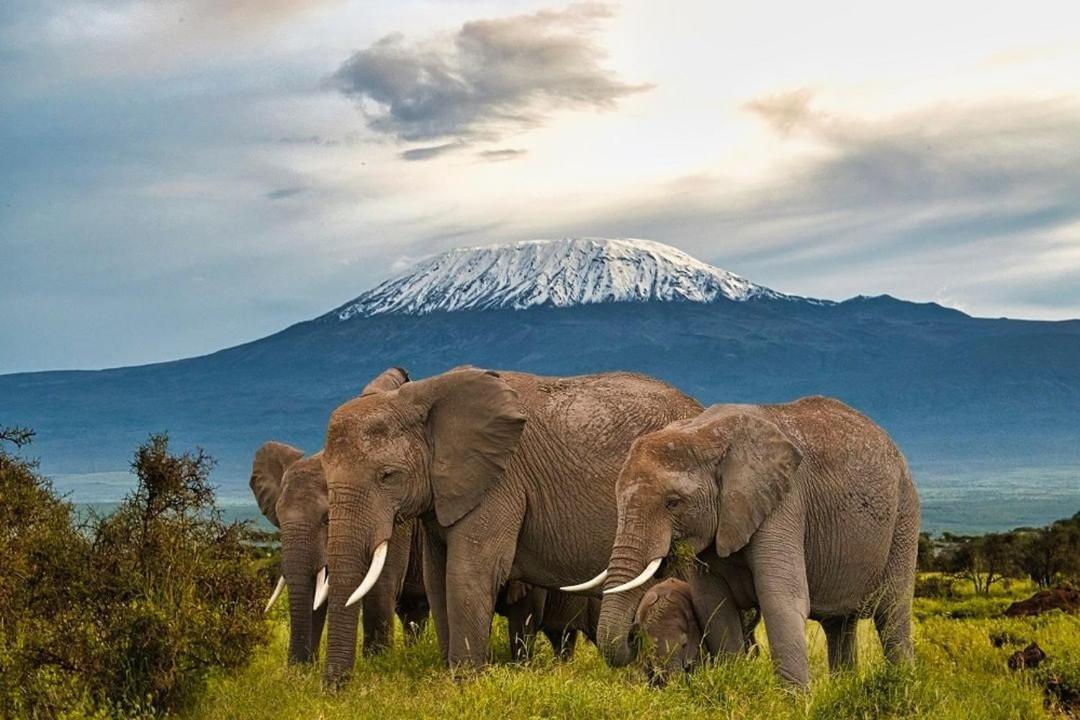 Amboseli Cultural Camping Luaran gambar