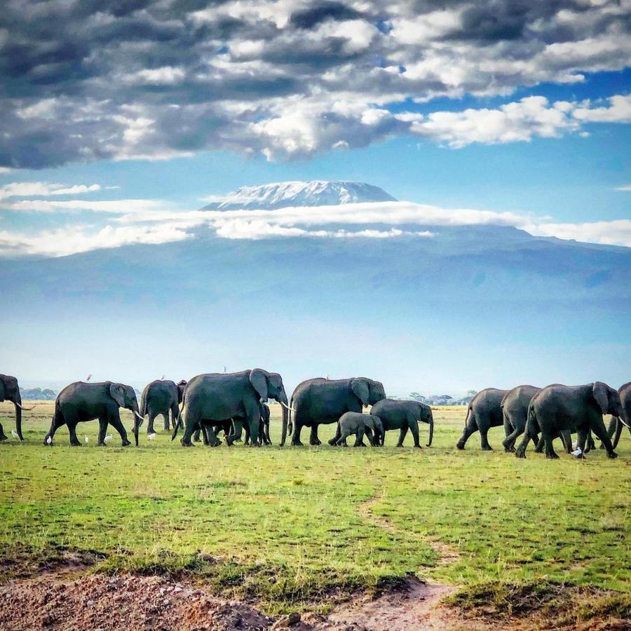 Amboseli Cultural Camping Luaran gambar