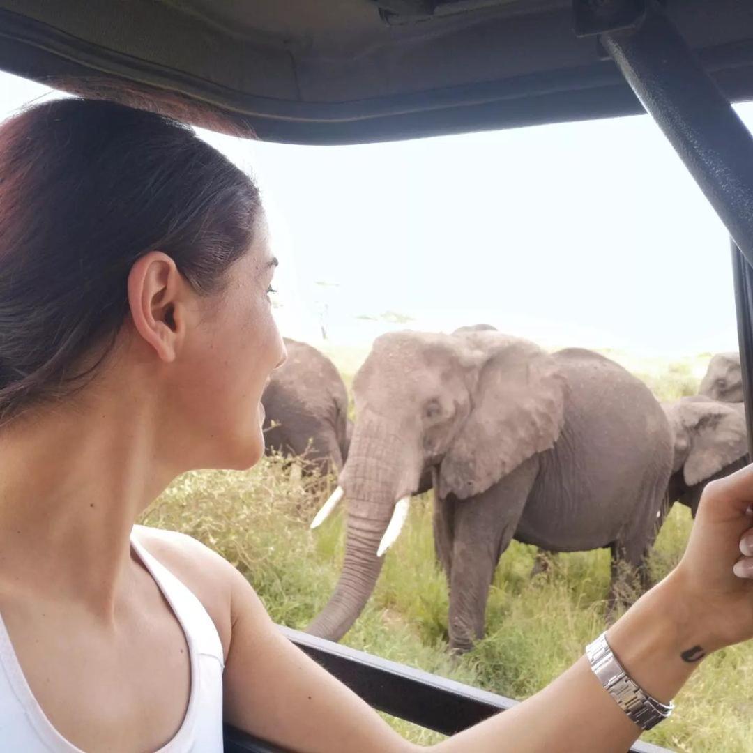 Amboseli Cultural Camping Luaran gambar